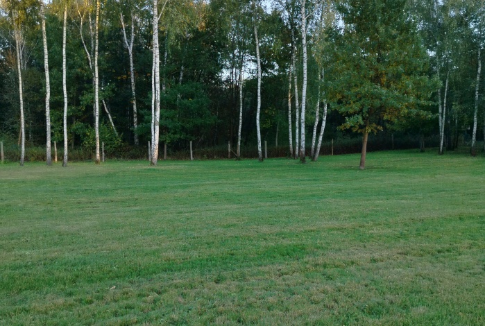 Działka na sprzedaż w Pyskowice Dzierżno Wiejska o powierzchni 1300 mkw