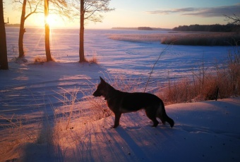 Dom na sprzedaż Węgorzewo  835099