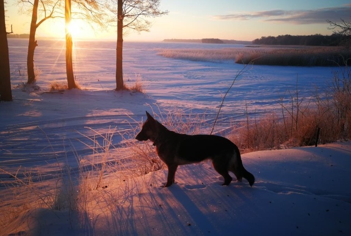 Dom na sprzedaż w Węgorzewo  Przystań 28 o powierzchni 86 mkw