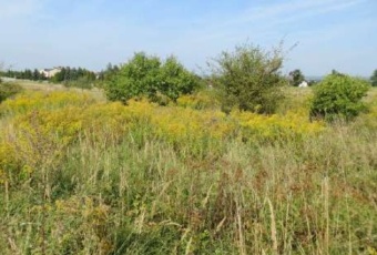 Działka Sprzedam śląskie Mierzęcice -2