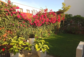 Mieszkanie sprzedaż Nowy Dwór Mazowiecki Nowy Dwór Mazowiecki 84 mkw Mieszkanie Sprzedam mazowieckie Nowy Dwór Mazowiecki Nowy Dwór Mazowiecki-2