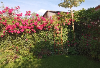 Mieszkanie sprzedaż Nowy Dwór Mazowiecki Nowy Dwór Mazowiecki 84 mkw Mieszkanie Sprzedam mazowieckie Nowy Dwór Mazowiecki Nowy Dwór Mazowiecki-1