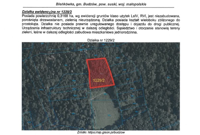 Działka na sprzedaż w Budzów  Bieńkówka o powierzchni 3168 mkw
