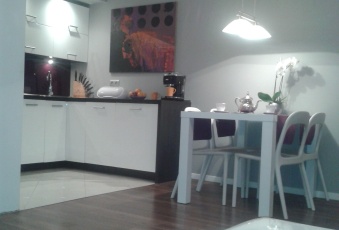 Mieszkanie Wynajmę mazowieckie Warszawa Praga-Północ-3