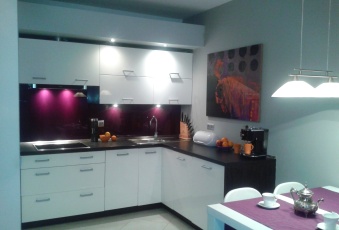 Mieszkanie Wynajmę mazowieckie Warszawa Praga-Północ-2