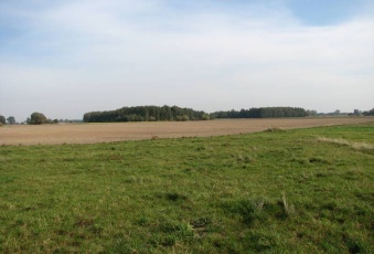 Działka Sprzedam mazowieckie Raciąż Raciąż-2