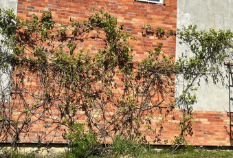 Dom Sprzedam zachodniopomorskie Połczyn-Zdrój -3