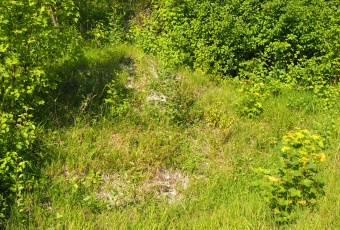 Działka Sprzedam małopolskie Słaboszów Śladów-3