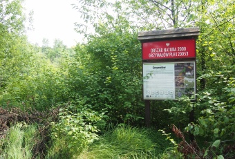 Działka Sprzedam małopolskie Słaboszów Śladów-1