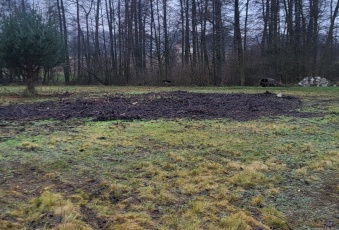 Działka Wynajmę mazowieckie Tarczyn -1