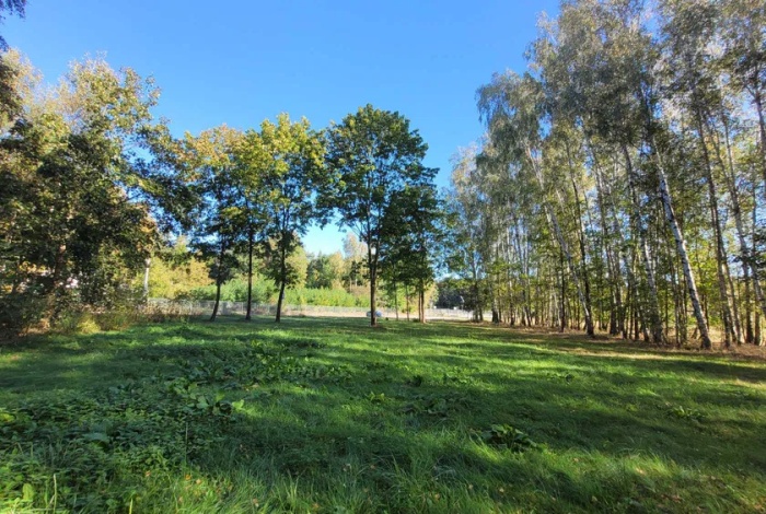 Działka na sprzedaż w Puszcza Mariańska Korabiewice  o powierzchni 5300 mkw