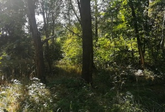 Działka na sprzedaż Warszawa  835522