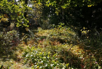 Działka Sprzedam mazowieckie Warszawa Wesoła-3