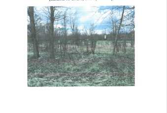 Działka Sprzedam śląskie Miasteczko Śląskie Żyglinek-1