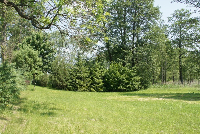 Działka na sprzedaż w Biskupiec   o powierzchni 3009 mkw