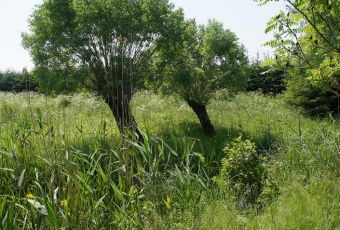 Działka Sprzedam warmińsko-mazurskie Biskupiec -1