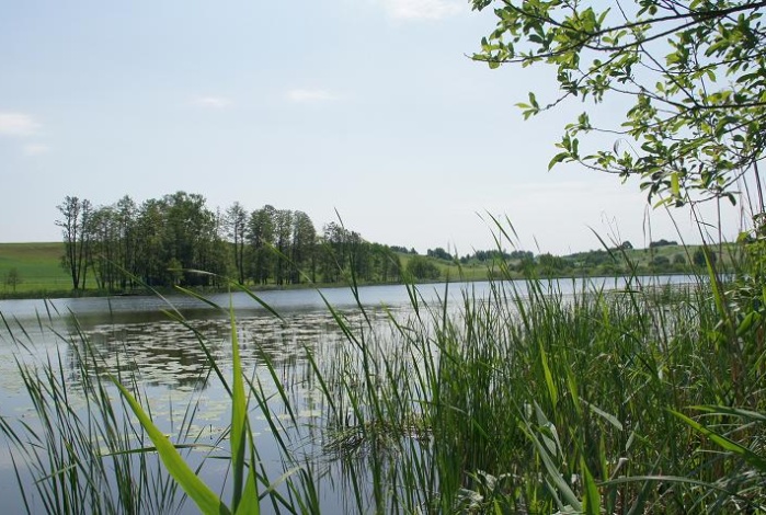 Działka na sprzedaż w Biskupiec   o powierzchni 3009 mkw