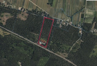 Działka Sprzedam mazowieckie Bodzanów Borowice-3