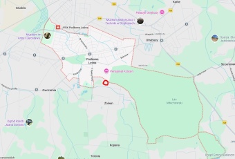 Działka sprzedaż Podkowa Leśna Podkowa Leśna Młochowska 1000 mkw Działka Sprzedam mazowieckie Podkowa Leśna Podkowa Leśna-2