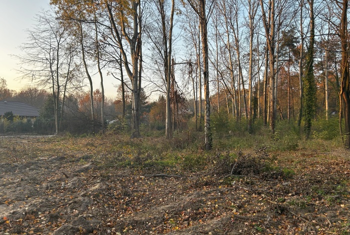 Działka na sprzedaż w Podkowa Leśna Podkowa Leśna Młochowska o powierzchni 1000 mkw