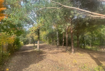 Działka Sprzedam mazowieckie Kołbiel Radachówka-1