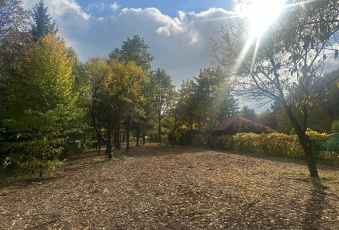 Działka Sprzedam mazowieckie Kołbiel Radachówka-2