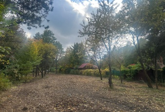 Działka Sprzedam mazowieckie Kołbiel Radachówka-3