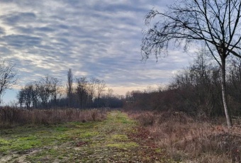 Działka Sprzedam mazowieckie Serock -2