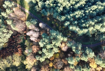 Działka Sprzedam dolnośląskie Wołów -3