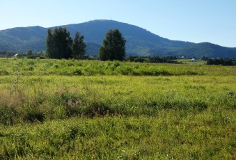 Działka Sprzedam śląskie Lipowa Lipowa-1