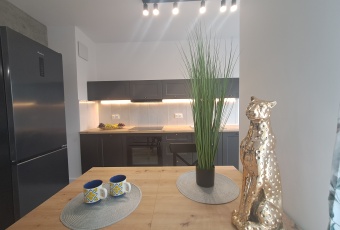 Mieszkanie Wynajmę mazowieckie Warszawa Wilanów-2