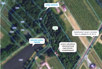 Działka Sprzedam mazowieckie Pniewy Tomaszówka-1