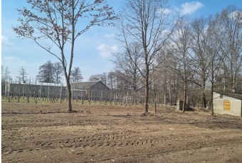 Działka Sprzedam mazowieckie Pniewy Tomaszówka-3