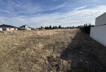 Działka Sprzedam wielkopolskie Tarnowo Podgórne Baranowo-2