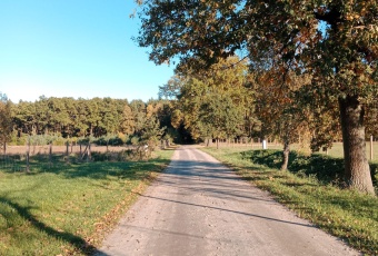 Działka sprzedaż Krzykosy Bogusławki Leśna 866 mkw Działka Sprzedam wielkopolskie Krzykosy Bogusławki-1