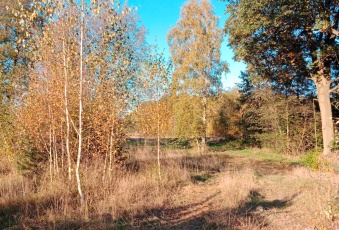 Działka sprzedaż Krzykosy Bogusławki Leśna 866 mkw Działka Sprzedam wielkopolskie Krzykosy Bogusławki-2