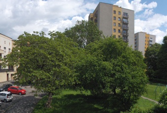 Mieszkanie sprzedaż Katowice Załęska Hałda Wincentego Pola 48 mkw Mieszkanie Sprzedam śląskie Katowice Załęska Hałda-1