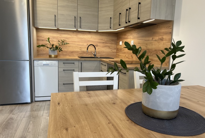 Mieszkanie na wynajem w Kraków Krowodrza Stefana Banacha 63 o powierzchni 44 mkw