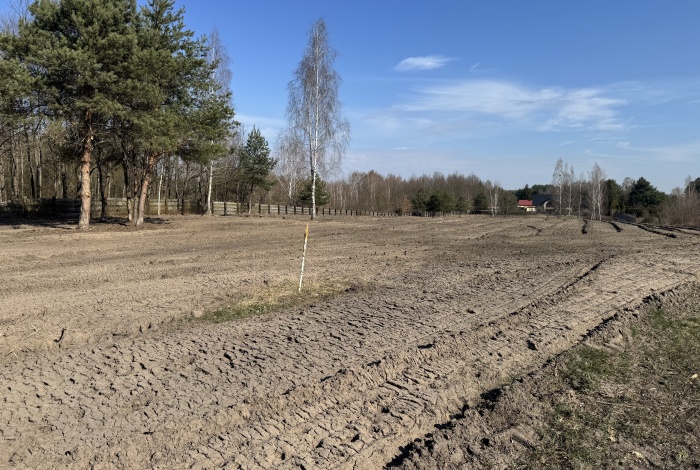 Działka na sprzedaż w Leszno Wiktorów Parkowa o powierzchni 1500 mkw