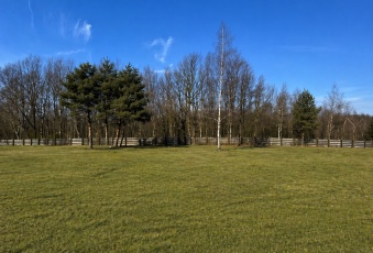Działka Sprzedam mazowieckie Leszno Wiktorów-1