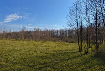 Działka Sprzedam mazowieckie Leszno Wiktorów-2