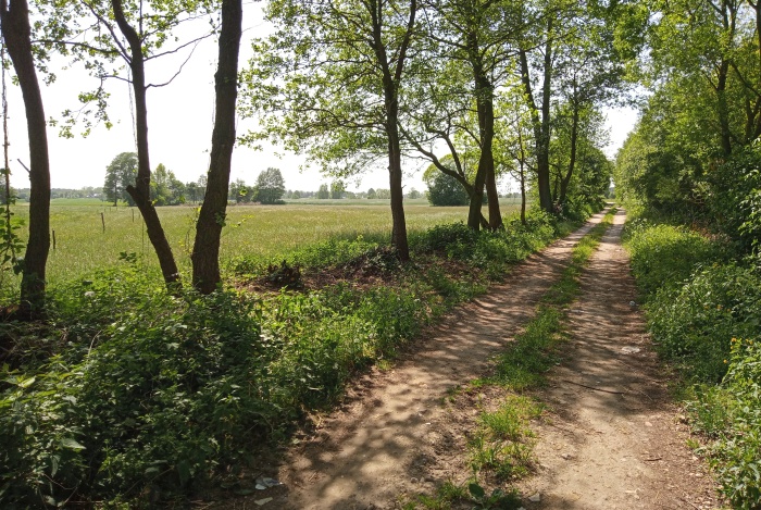 Działka na sprzedaż w Baboszewo Goszczyce Średnie  o powierzchni 6800 mkw