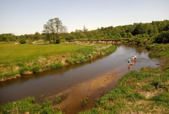 Działka Sprzedam mazowieckie Baboszewo Goszczyce Średnie-2