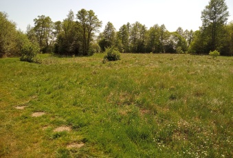 Działka Sprzedam mazowieckie Baboszewo Goszczyce Średnie-3