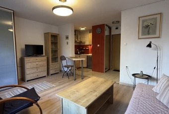 Mieszkanie Wynajmę mazowieckie Warszawa Wola-3