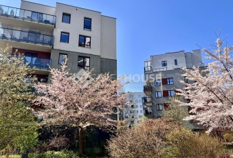 Mieszkanie Sprzedam mazowieckie Warszawa Ursynów-1