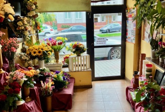 Komercja Wynajmę śląskie Sosnowiec Pogoń-3