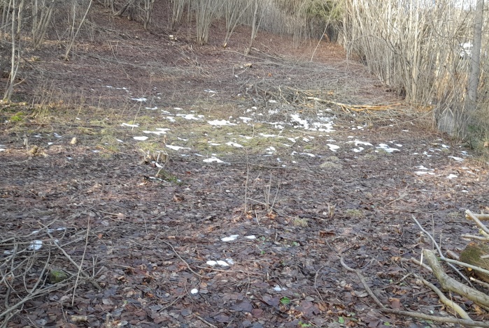 Działka na sprzedaż w Rajcza Rycerka Dolna  o powierzchni 2179 mkw