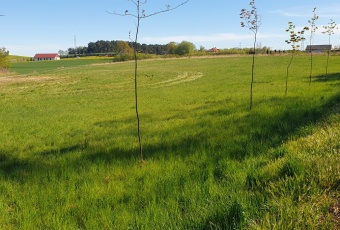 Działka Sprzedam zachodniopomorskie Myślibórz -1