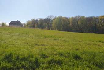Działka Sprzedam zachodniopomorskie Myślibórz -3